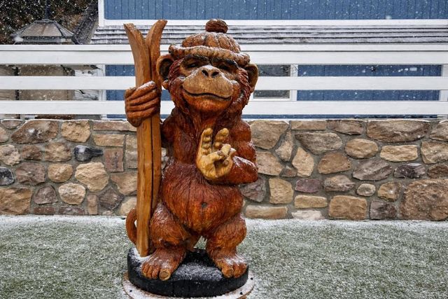 42988 Moonridge Road, Big Bear Lake, CA 92315