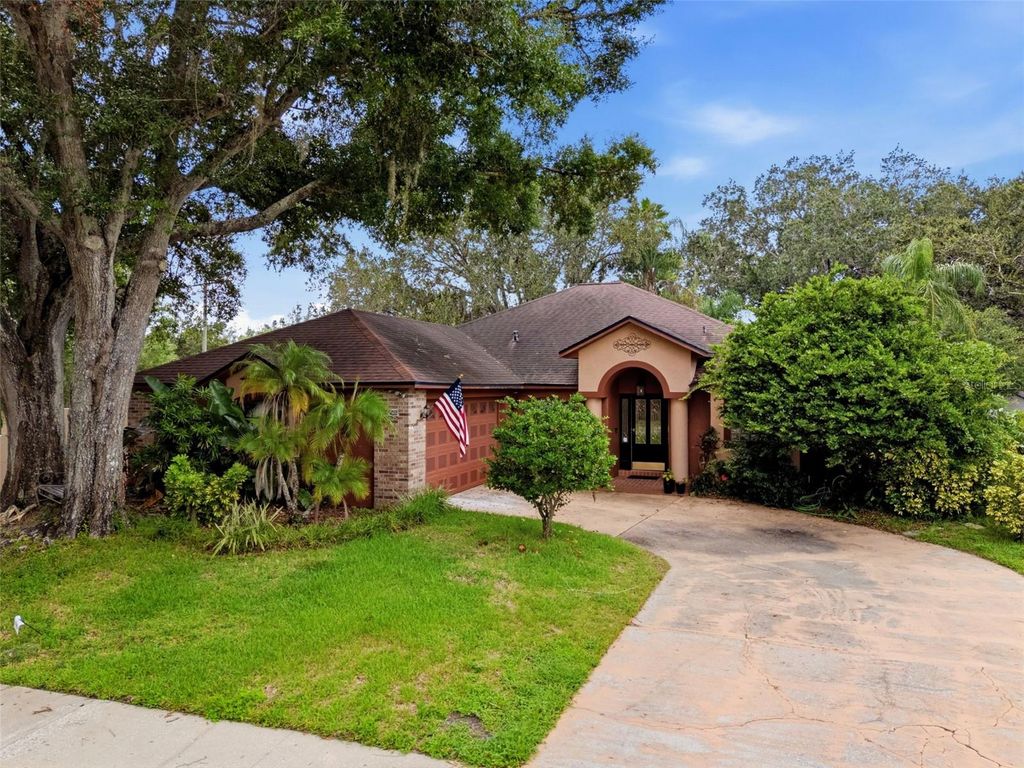 16502 CAYMAN DRIVE, Tampa, FL 33624