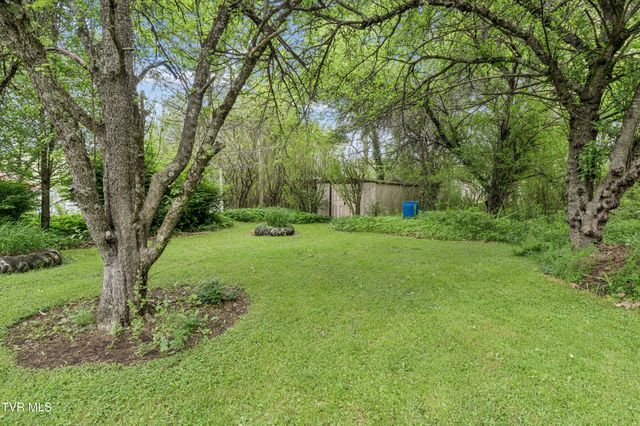 278 Old Butler, Mountain City, TN 37683