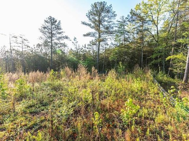 4275 Westbrook Road, Suwanee, GA 30024