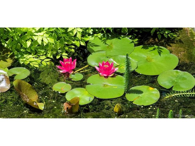 1277 Forest Trails Dr, Castle Pines, CO 80108