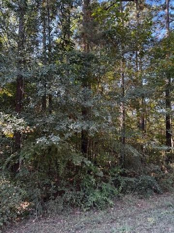 000 County Road 2175, Shepherd, TX 77371