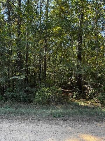 000 County Road 2175, Shepherd, TX 77371