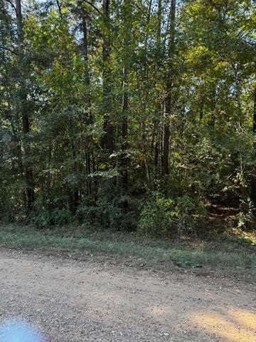 000 County Road 2175, Shepherd, TX 77371
