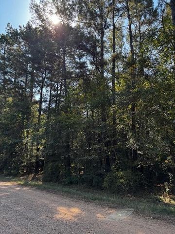 000 County Road 2175, Shepherd, TX 77371