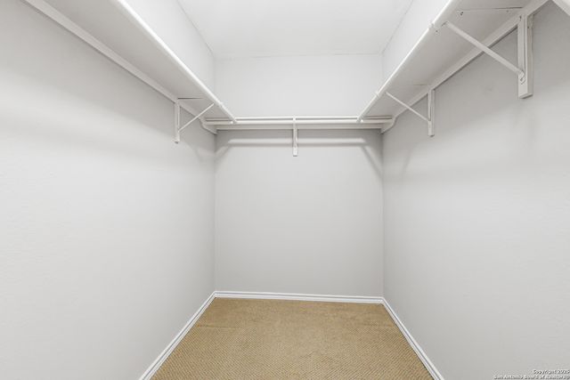 6731 Terra Rye, San Antonio, TX 78240