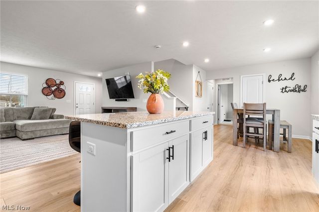 218 Leather Leaf Drive, Elyria, OH 44035