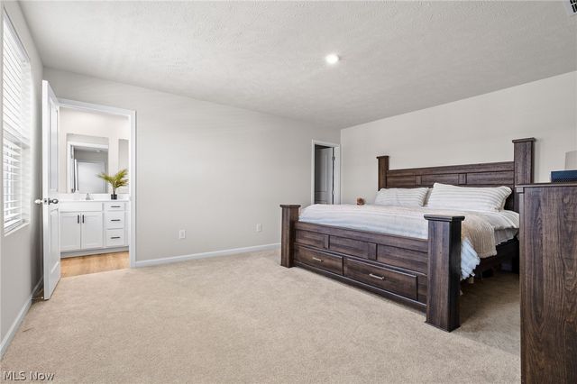 218 Leather Leaf Drive, Elyria, OH 44035