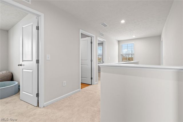 218 Leather Leaf Drive, Elyria, OH 44035