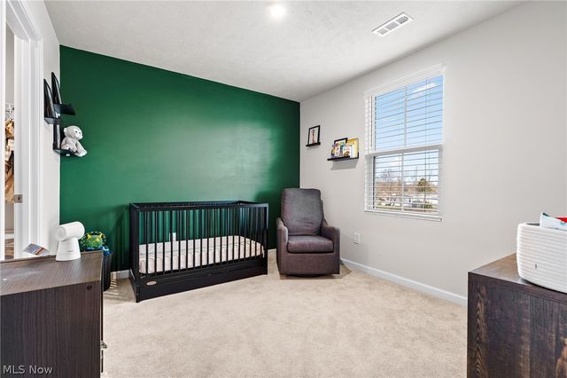 218 Leather Leaf Drive, Elyria, OH 44035