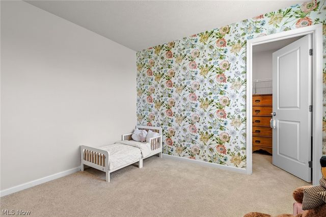 218 Leather Leaf Drive, Elyria, OH 44035