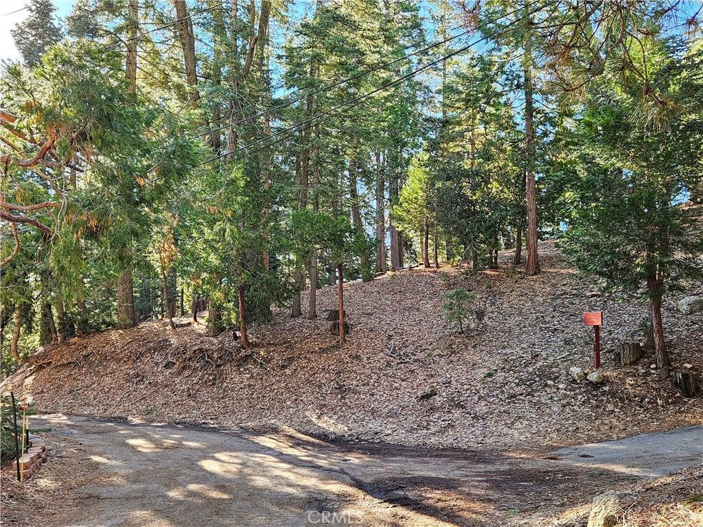 0 Brentwood Drive, Lake Arrowhead, CA 92352