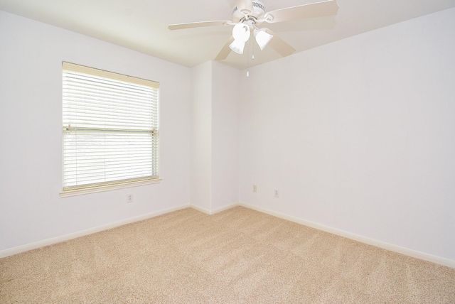 2202 Naomi Street 3, Houston, TX 77054