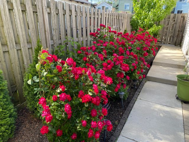 3028 W EASTWOOD Avenue, Chicago, IL 60625