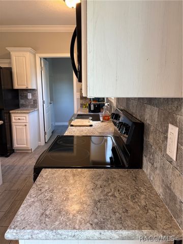 8054 E Shetland Lane, Floral City, FL 34436