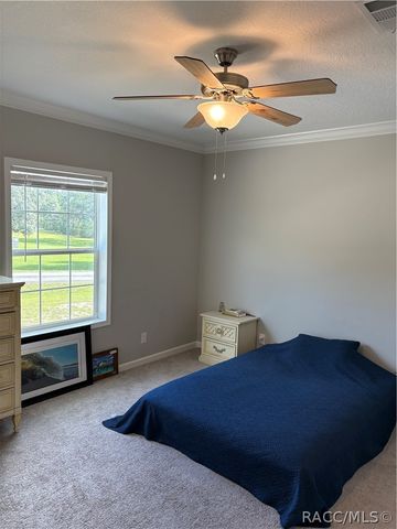 8054 E Shetland Lane, Floral City, FL 34436
