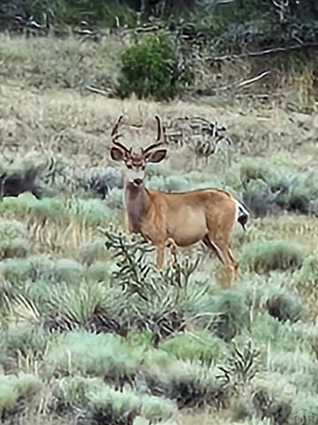 801 Turkey Ridge Rd, Walsenburg, CO 81089