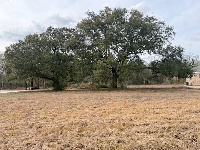 0 Hampton Ridge Court, Mobile, AL 36608