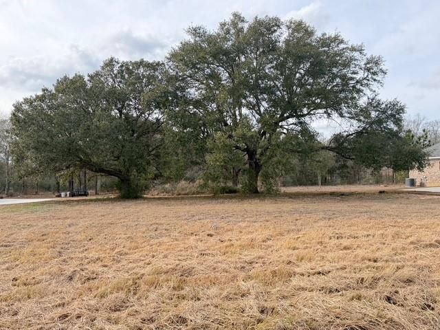 0 Hampton Ridge Court, Mobile, AL 36608