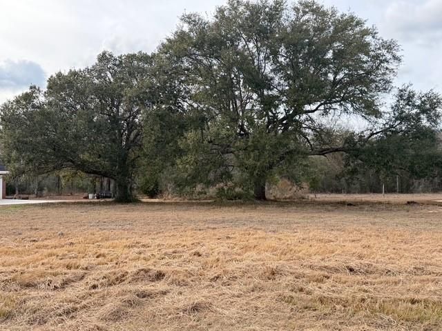 0 Hampton Ridge Court, Mobile, AL 36608