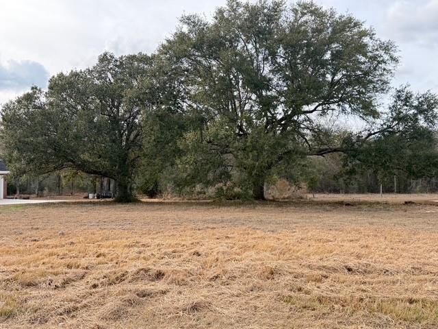 0 Hampton Ridge Court, Mobile, AL 36608