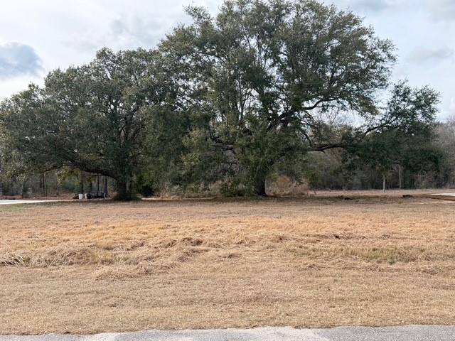 0 Hampton Ridge Court, Mobile, AL 36608