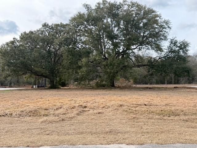 0 Hampton Ridge Court, Mobile, AL 36608