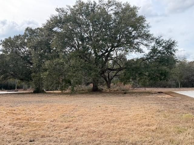 0 Hampton Ridge Court, Mobile, AL 36608