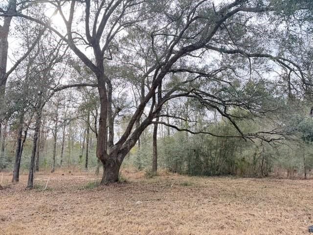 0 Hampton Ridge Court, Mobile, AL 36608