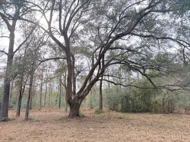 0 Hampton Ridge Court, Mobile, AL 36608