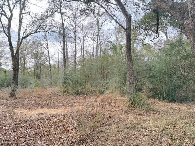 0 Hampton Ridge Court, Mobile, AL 36608