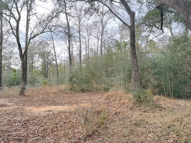 0 Hampton Ridge Court, Mobile, AL 36608