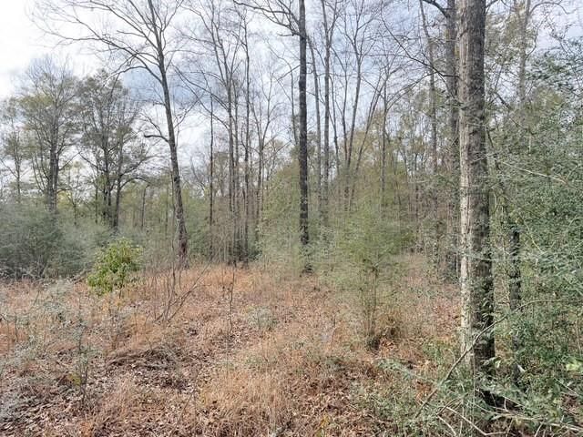 0 Hampton Ridge Court, Mobile, AL 36608