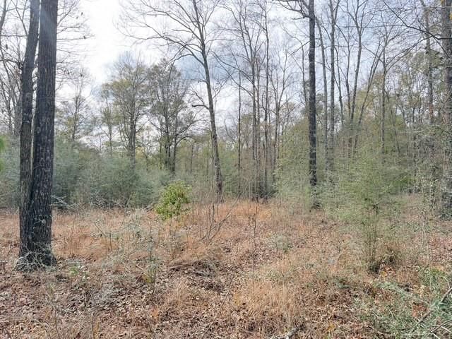 0 Hampton Ridge Court, Mobile, AL 36608