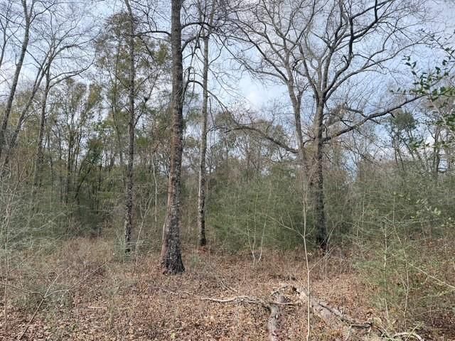 0 Hampton Ridge Court, Mobile, AL 36608