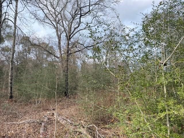 0 Hampton Ridge Court, Mobile, AL 36608