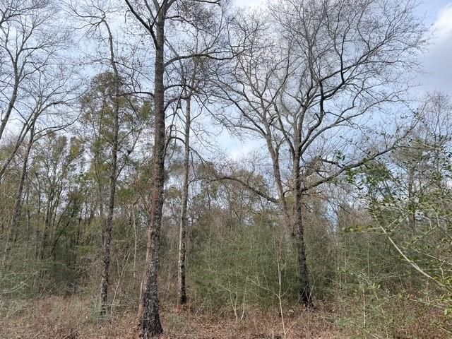 0 Hampton Ridge Court, Mobile, AL 36608