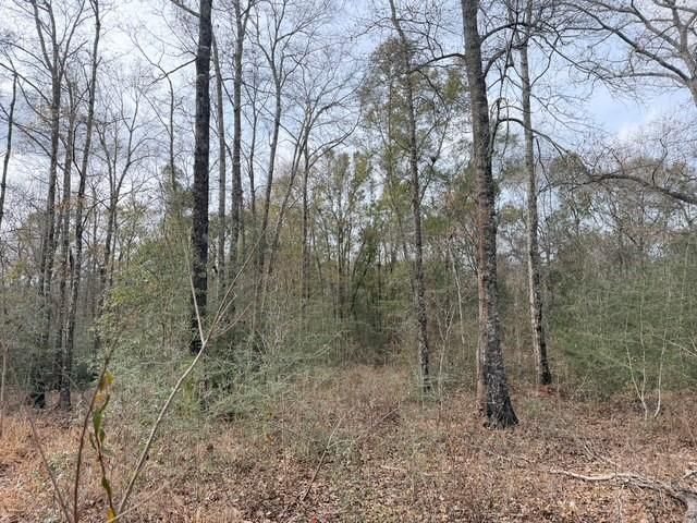 0 Hampton Ridge Court, Mobile, AL 36608