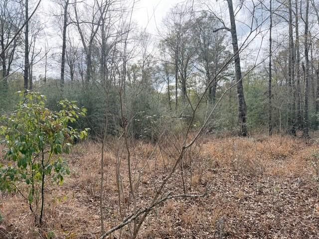 0 Hampton Ridge Court, Mobile, AL 36608