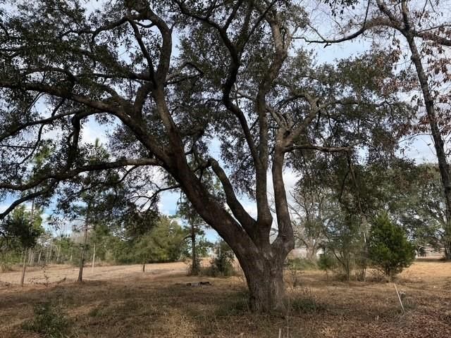 0 Hampton Ridge Court, Mobile, AL 36608