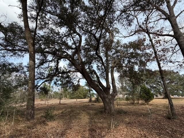 0 Hampton Ridge Court, Mobile, AL 36608