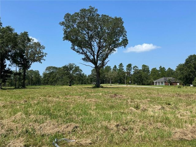 0 Hampton Ridge Court, Mobile, AL 36608