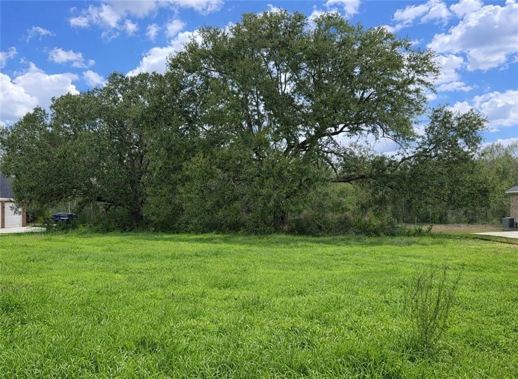 0 Hampton Ridge Court, Mobile, AL 36608