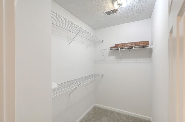 8074 Shadow Oak Drive, North Charleston, SC 29406