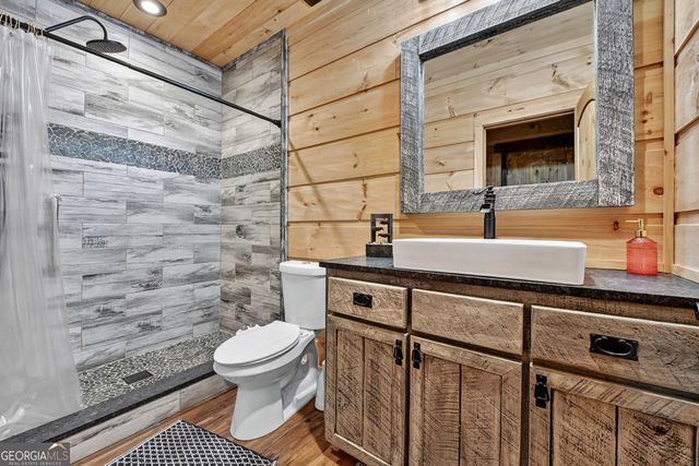 785 Wehunt Road, Blue Ridge, GA 30513