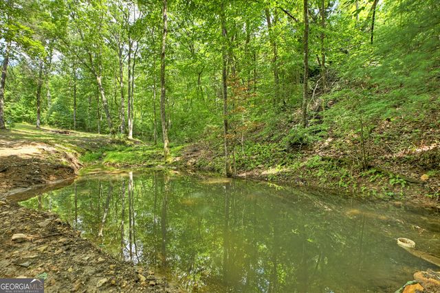 785 Wehunt Road, Blue Ridge, GA 30513