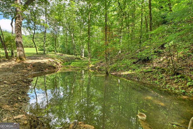 785 Wehunt Road, Blue Ridge, GA 30513