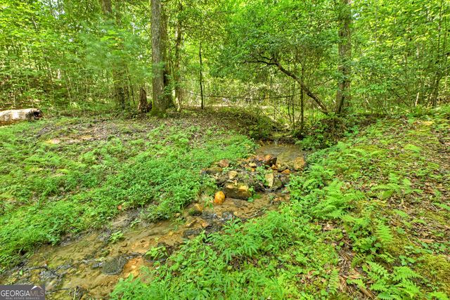 785 Wehunt Road, Blue Ridge, GA 30513