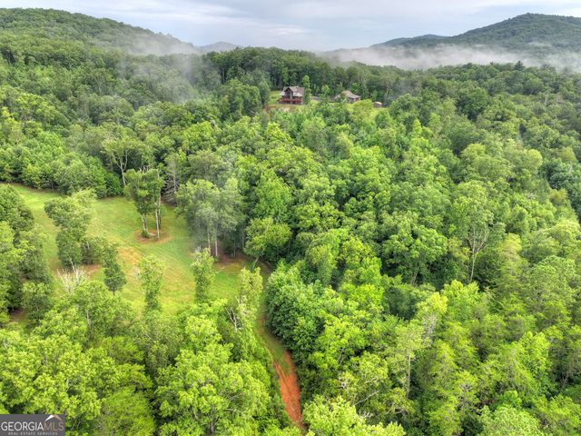 785 Wehunt Road, Blue Ridge, GA 30513