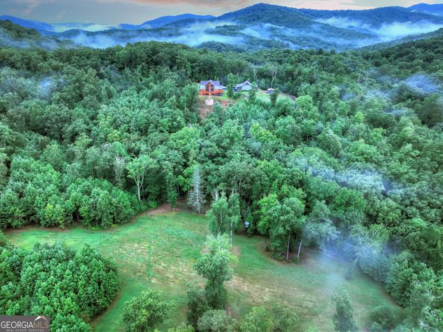 785 Wehunt Road, Blue Ridge, GA 30513